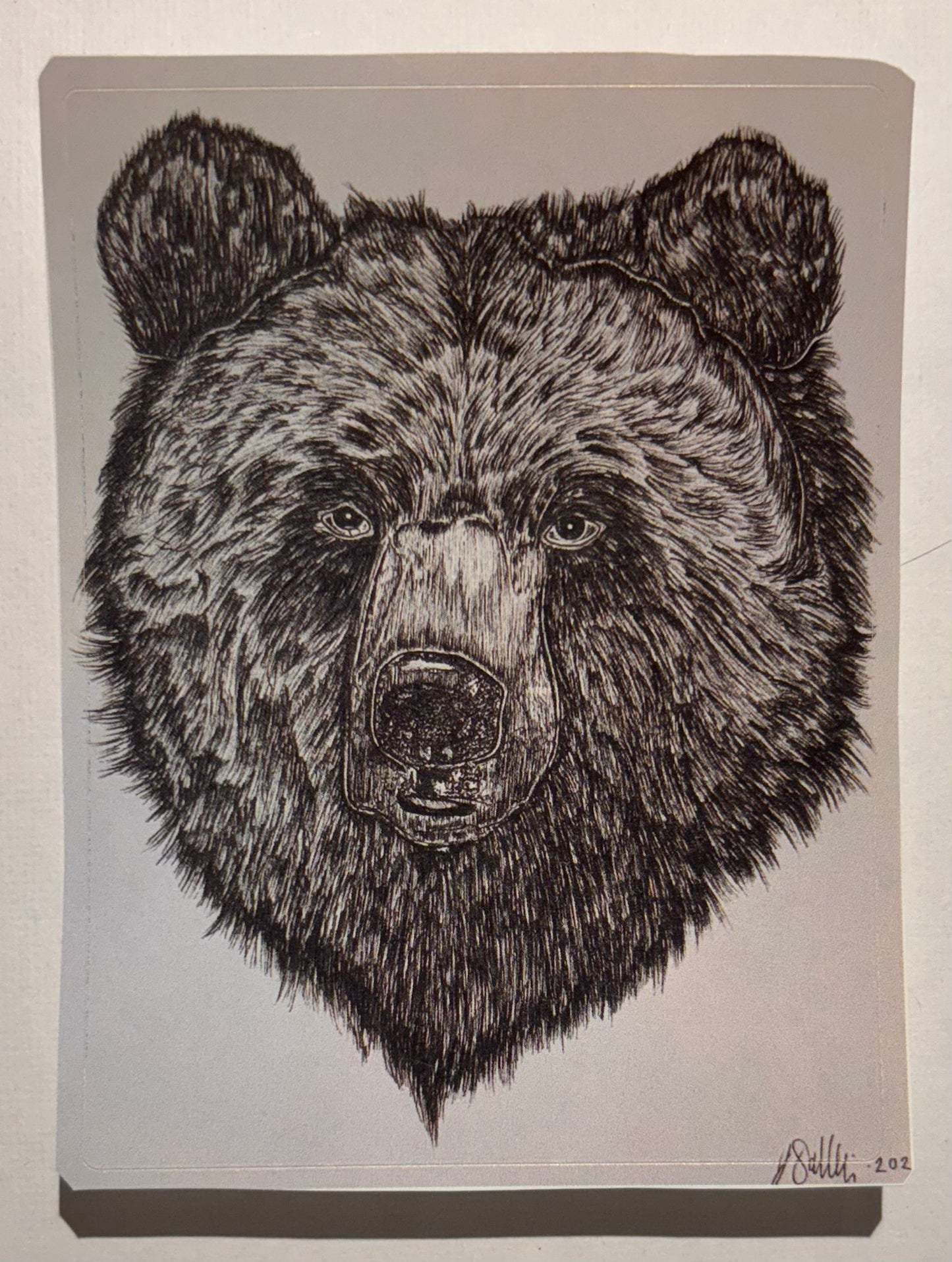 Bear Sticker