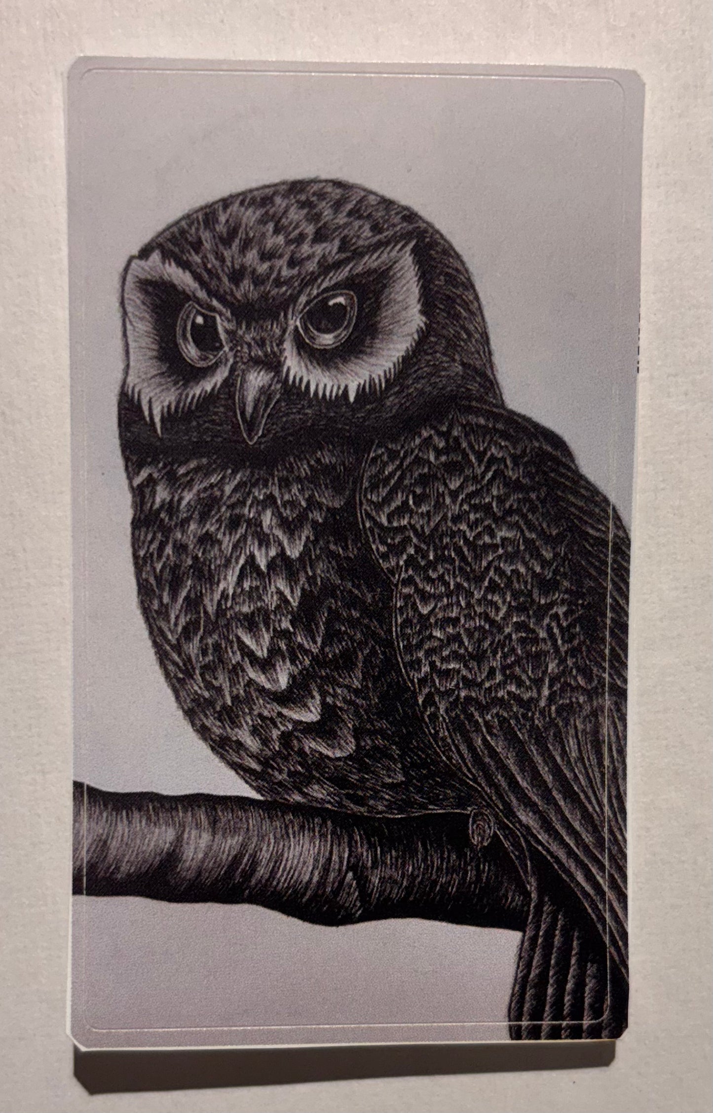Signature Owl Sticker