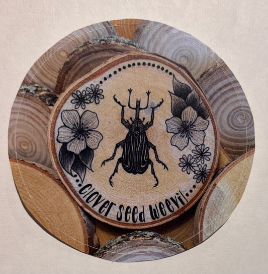 Clover Seed Weevil Sticker