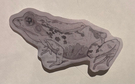 Frog Sticker