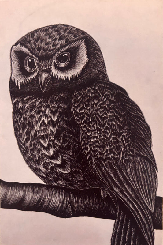 Owl Print