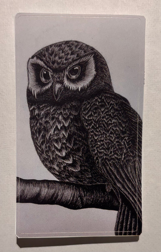 Signature Owl Sticker
