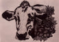Cow Print