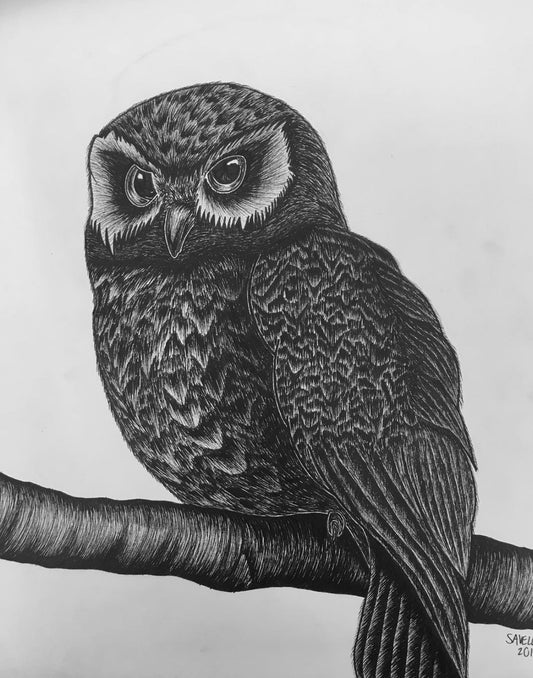 Signature Owl Magnet